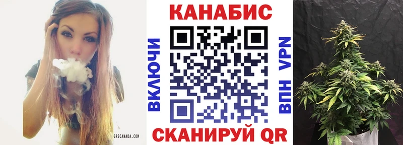 Конопля планчик Фурманов
