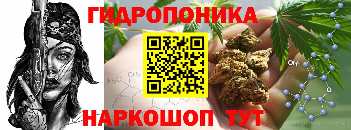 Канабис Ganja  Марихуана семена  Фурманов  Каннабис план  Вход с VPN 